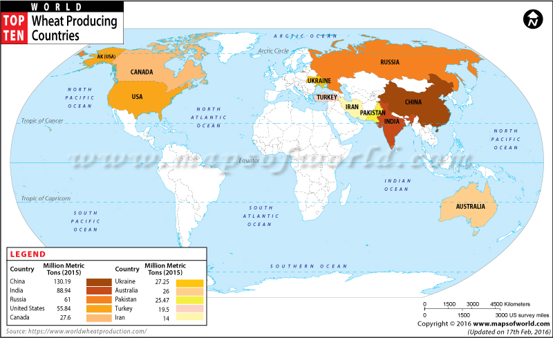 world-map-countries-by-wheat-production